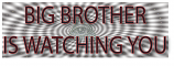 Big Brother bumper sticker